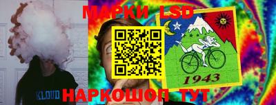 спиды Гусев